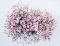 Large lush bouquet of numerous pink gypsophilia flowers