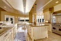 Large luxury kitchen room in beige colors with granite counter tops and kitchen island