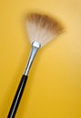 Large Make-up Brushes Royalty Free Stock Photo