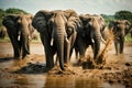 Large Male African Elephants Walking Through Muddy Water, created with Generative AI technology
