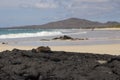 Large male marine iguana seen crawling unto lava rocks with beautiful sand beach and mountain in the background Royalty Free Stock Photo