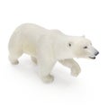 Large male Polar bear walking on a white. 3D illustration Royalty Free Stock Photo