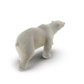 Large male Polar bear walking on a white. 3D illustration Royalty Free Stock Photo