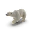 Large male Polar bear walking on a white. 3D illustration Royalty Free Stock Photo