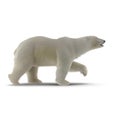 Large male Polar bear walking on a white. Side view. 3D illustration Royalty Free Stock Photo