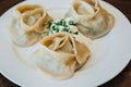 Large manti on a white dish with sour cream and herbs. Eastern cuisine. Meat in dough. Stands on a wooden table Royalty Free Stock Photo