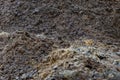 Large manure hump, from horse manure in the yard. Close-up of pile of manure in the countryside. Detail of heap of