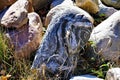 Large Marbled Rock on Shore of Rogue River