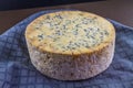 Large, massive truckle of stilton cheese Royalty Free Stock Photo