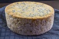 Large, massive truckle of stilton cheese Royalty Free Stock Photo