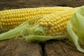 Large, mature, young corn on the wooden background