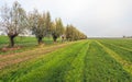 Large meadow with mowed grass in different shades of green next Royalty Free Stock Photo