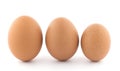 Large, medium and small chicken egg. Royalty Free Stock Photo