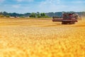 Large modern red combine harvester in a wheat field Royalty Free Stock Photo