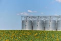 Large modern wheat elevator, granary and field with a blooming sunflower Royalty Free Stock Photo