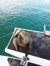 Large molyusks caught from the sea lie on the ramp for bathing a sailing yacht. Active rest on the Adriatic Sea of the Mediterrane