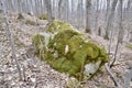 Large moss covered boulder along hiking trail at Pretty River Valley