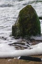 Large moss-covered rock at the beach