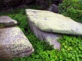 Large Moss Covered Rocks