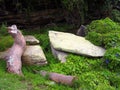 Large Moss Covered Rocks