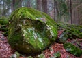 Large moss-covered stone in the forest