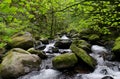 large moss covered stones in a mountain stream