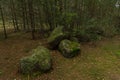 Large mossy boulders