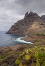 large mountain by the sea and a cactus at the base of the photo under the cloudy sky Royalty Free Stock Photo