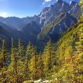 Large mountains with forest clearings into which clouds crash