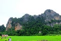 Large mountains and green rice field Royalty Free Stock Photo