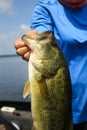 Large Mouth Bass Fishing Woman Holding Fish Royalty Free Stock Photo