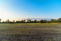 Large mown meadow in front offorest Royalty Free Stock Photo