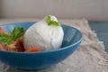 Large mozzarella with slices of tomatoes and basil in a blue plate. Rustic style Royalty Free Stock Photo