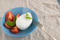 Large mozzarella with slices of tomatoes and basil in a blue plate. Rustic style Royalty Free Stock Photo