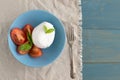 Large mozzarella with slices of tomatoes and basil in a blue plate. Rustic style Royalty Free Stock Photo