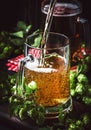 Large mugs with german light beer and fresh hops, pours into glass, dark table, selective focus Royalty Free Stock Photo