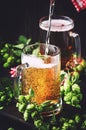 Large mugs with german light beer and fresh hops, pours into glass, dark table, selective focus Royalty Free Stock Photo