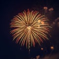 A large, multi-colored firework bursts against a dark night sky. The display features Royalty Free Stock Photo