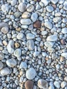 Large multi coloured pebbles and Stones