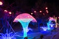 Electric light LED FESTIVAL CHINESE SPRING FESTIVAL IN HOHHOT, CHINA NIGHT