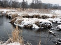 Large Muskrat Den on the Curve in a Creek: A large muskrat family lodge near the banks of a curving creek made with mud and straw
