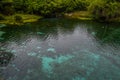 Pratinha laggon at Chapada Diamantina, Brazil Royalty Free Stock Photo