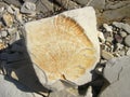 Large natural stone