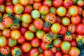 A large number of cherry tomatoes in the form of smiles. Royalty Free Stock Photo