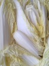 A large number of Chinese cabbage leaves are close.