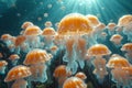 a large number of jellyfish swimming underwater Royalty Free Stock Photo