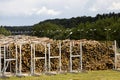 a large number of logs