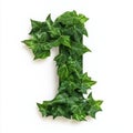 A large number one made of green ivy leaves on a white background Royalty Free Stock Photo