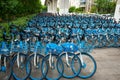 A large number of shared bikes clustered by the road Royalty Free Stock Photo