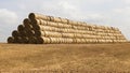large number of stacks of straw